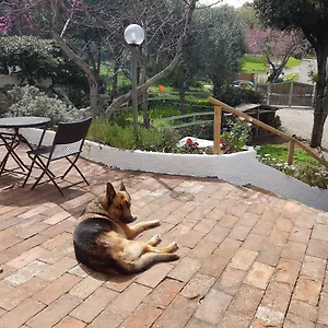  Bed & Breakfast La Casa Di Cosa